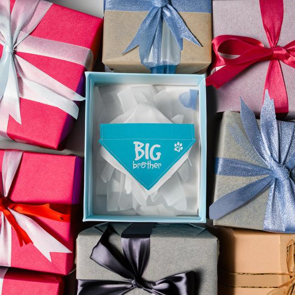 Pavilion Gift Company Big Brother 12" X 8" Canvas Slip On Pet Bandana