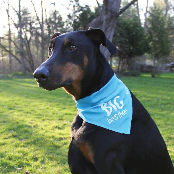 Pavilion Gift Company Big Brother 12" X 8" Canvas Slip On Pet Bandana