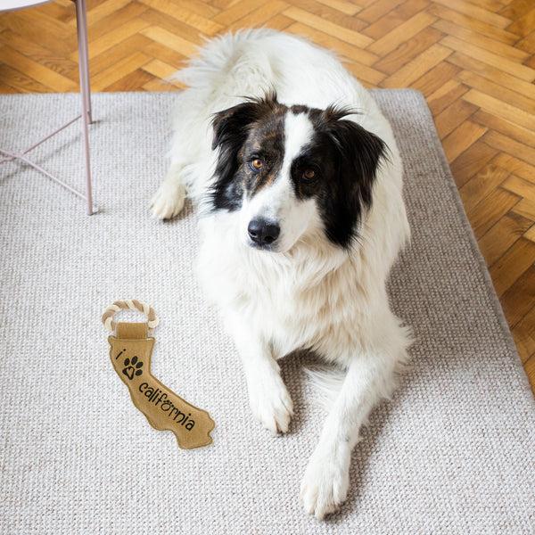 Pavilion Gift Company California 12" Canvas Dog Toy With Rope