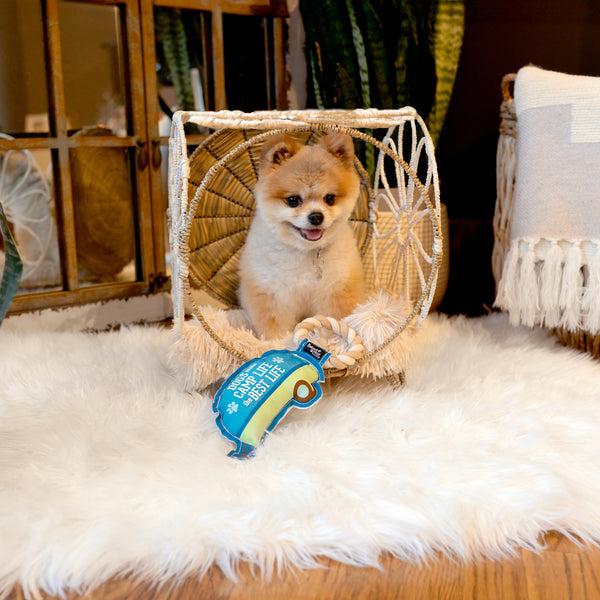 Pavilion Gift Company Camp Life 10.5" Canvas Dog Toy On Rope