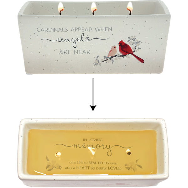 pavilion gift company Cardinals Appear 12 oz - 100% Soy Wax Reveal Triple Wick Candle Scent: Tranquility