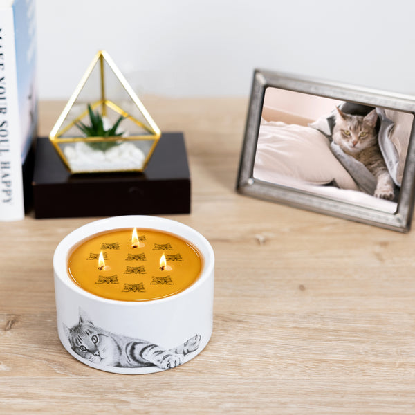 Pavilion Gift Company Cat 10 Oz - 100% Soy Wax Reveal Triple Wick Candle Scent: Tranquility