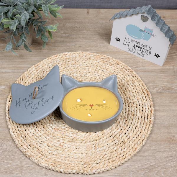 Pavilion Gift Company Cat 6 Oz - 100% Soy Wax Reveal Candle Scent: Tranquility