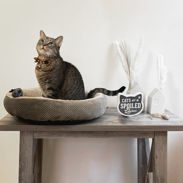 Pavilion Gift Company Cats 5" MDF Self-Standing Plaque