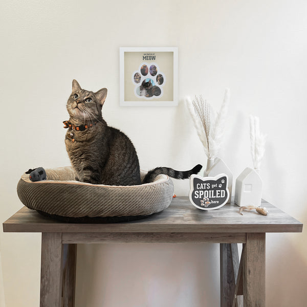 Pavilion Gift Company Cats 5" MDF Self-Standing Plaque