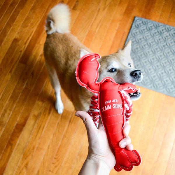 Pavilion Gift Company Claw-some 12" Canvas Dog Toy With Rope