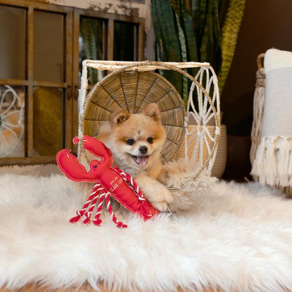 Pavilion Gift Company Claw-some 12" Canvas Dog Toy With Rope