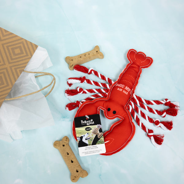 Pavilion Gift Company Claw-some 12" Canvas Dog Toy With Rope