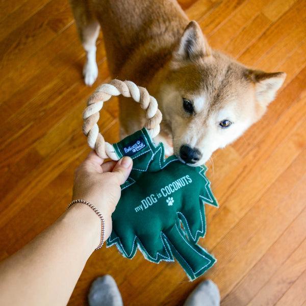 Pavilion Gift Company Coconuts 10" Canvas Dog Toy On Rope
