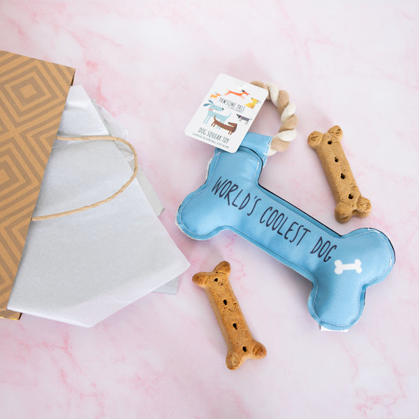 Pavilion Gift Company Coolest Dog Canvas Dog Toy On A Rope