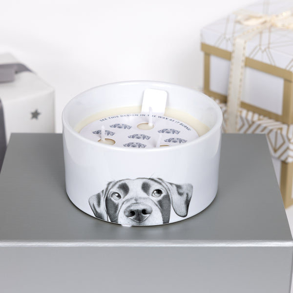 Pavilion Gift Company Dog 10 Oz - 100% Soy Wax Reveal Triple Wick Candle Scent: Tranquility