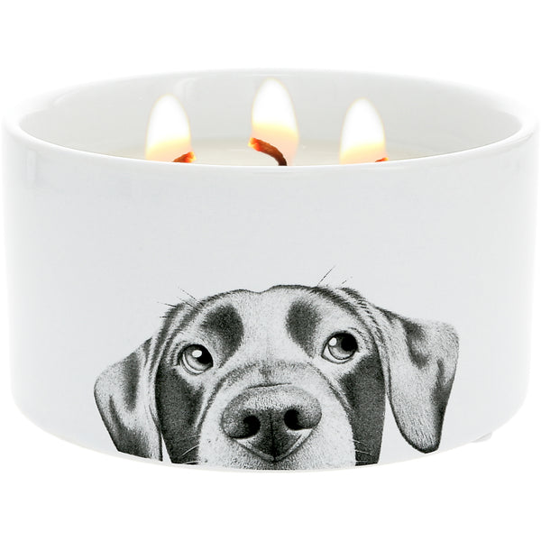 pavilion gift company Dog 10 oz - 100% Soy Wax Reveal Triple Wick Candle Scent: Tranquility