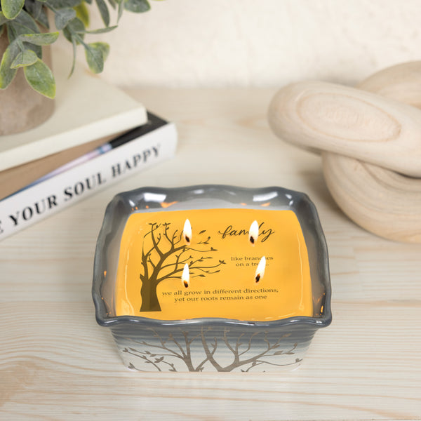 Pavilion Gift Company Family 9 Oz - 100% Soy Wax Reveal Candle Scent: Tranquility