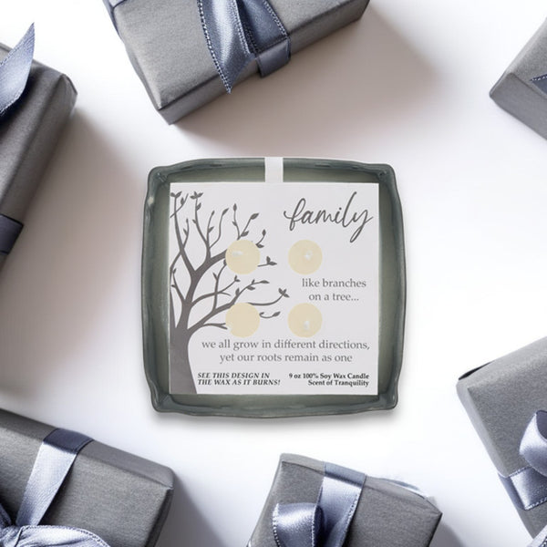 Pavilion Gift Company Family 9 Oz - 100% Soy Wax Reveal Candle Scent: Tranquility