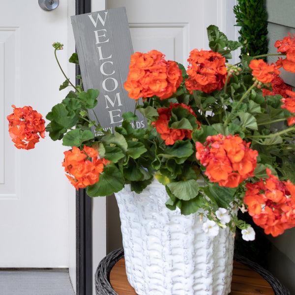 Pavilion Gift Company Family And Friends 5" X 12" Plaque