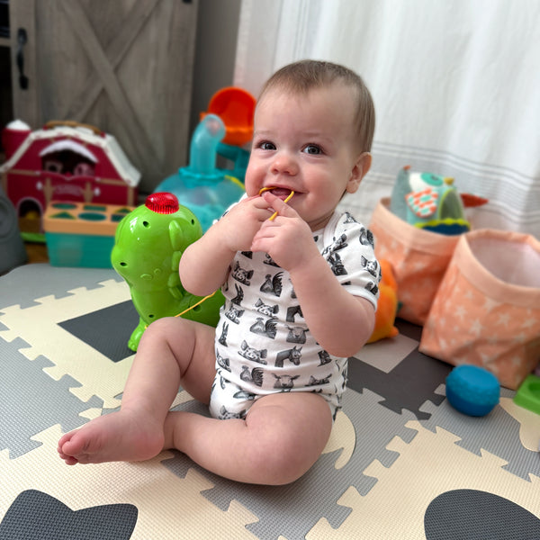 Pavilion Gift Company Farm Animals 0-6 Months Bodysuit