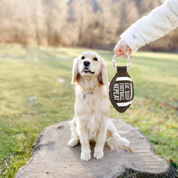 Pavilion Gift Company Football 12.75" Canvas Dog Toy On Rope