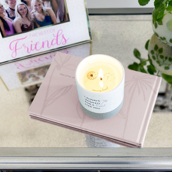 Pavilion Gift Company Friend Like You 10 Oz - 100% Soy Wax Reveal Candle Scent: Tranquility