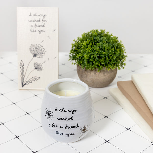 Pavilion Gift Company Friend Like You 8 Oz - 100% Soy Wax Candle Scent: Serenity