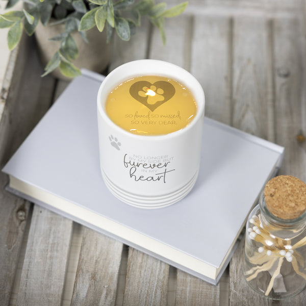 Pavilion Gift Company Furever In My Heart 10 Oz - 100% Soy Wax Reveal Candle Scent: Tranquility