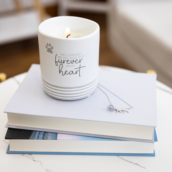 Pavilion Gift Company Furever In My Heart 10 Oz - 100% Soy Wax Reveal Candle Scent: Tranquility