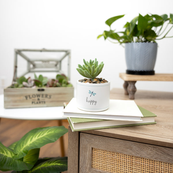 Pavilion Gift Company Happy 5" Artificial Potted Plant