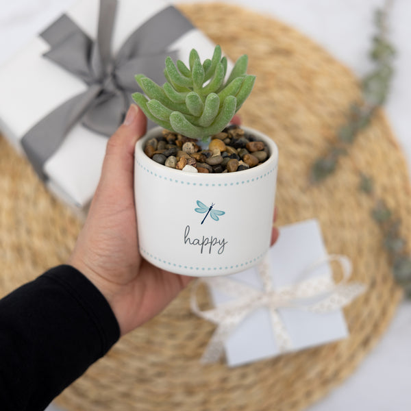 Pavilion Gift Company Happy 5" Artificial Potted Plant