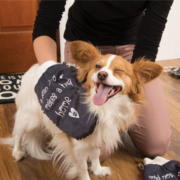 Pavilion Gift Company Happy Home Microfiber Pet Cleaning Mitt