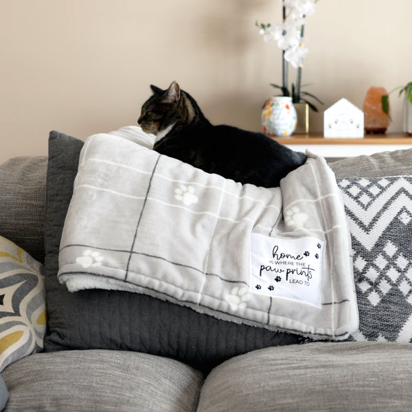 Pavilion Gift Company Home 50" X 60" Sherpa & Royal Plush Blanket