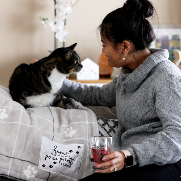 Pavilion Gift Company Home 50" X 60" Sherpa & Royal Plush Blanket