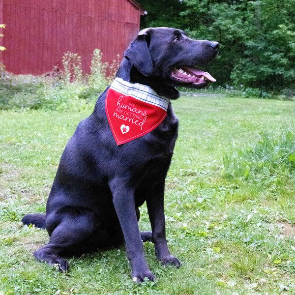 Pavilion Gift Company Humans Getting Married 12" X 8" Canvas Slip On Pet Bandana