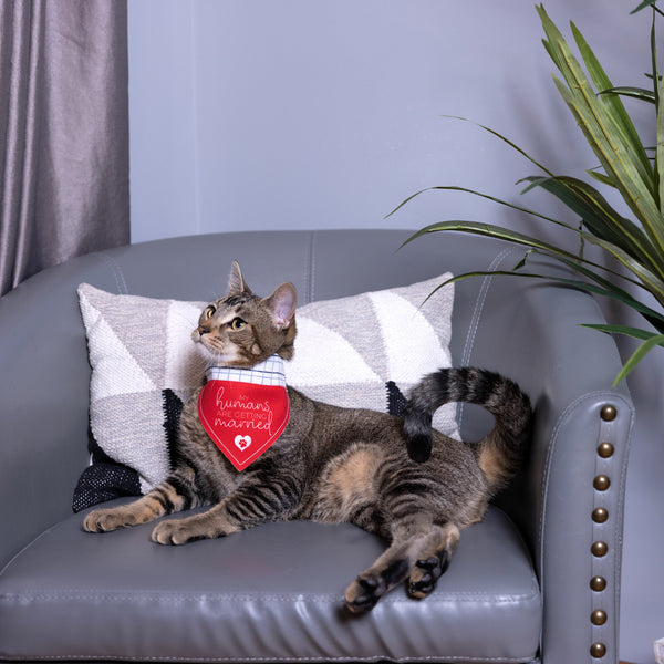 Pavilion Gift Company Humans Getting Married 7" X 5" Canvas Slip On Pet Bandana