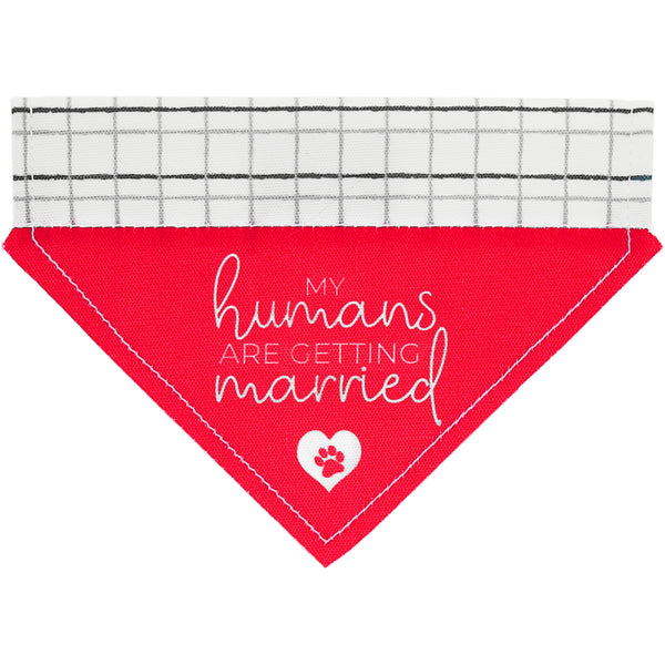 pavilion gift company Humans Getting Married 7" x 5" Canvas Slip on Pet Bandana