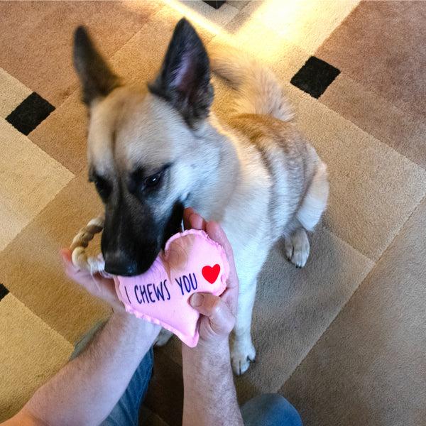 Pavilion Gift Company I Chews You Canvas Dog Toy On A Rope