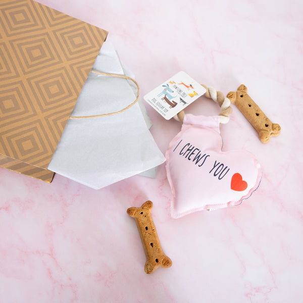 Pavilion Gift Company I Chews You Canvas Dog Toy On A Rope