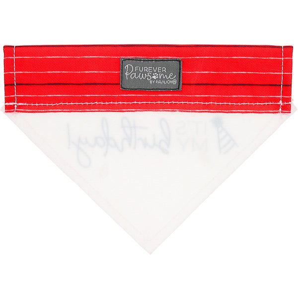 Pavilion Gift Company It's My Birthday 7" X 5" Canvas Slip On Pet Bandana