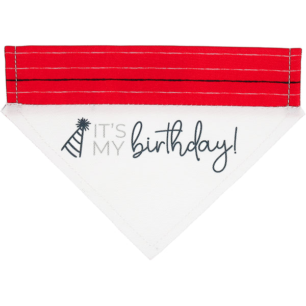 pavilion gift company It's My Birthday 7" x 5" Canvas Slip on Pet Bandana