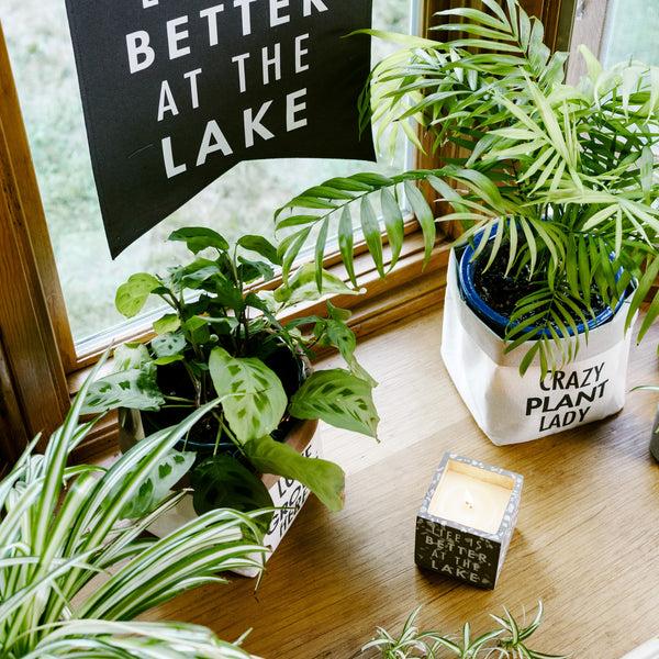 Pavilion Gift Company Lake 8 Oz - 100% Soy Wax Candle Scent: Serenity