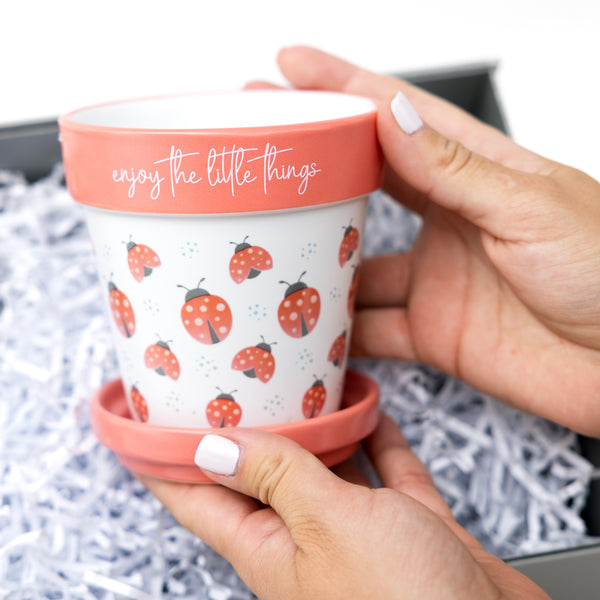 Pavilion Gift Company Little Things 4" Planter With Tray