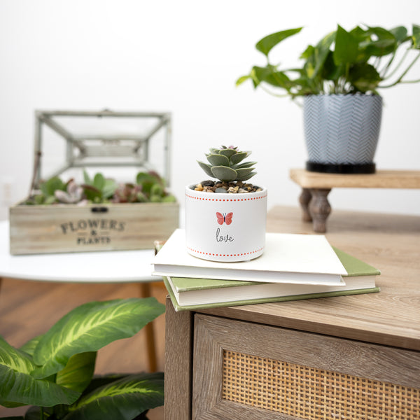 Pavilion Gift Company Love 4.5" Artificial Potted Plant