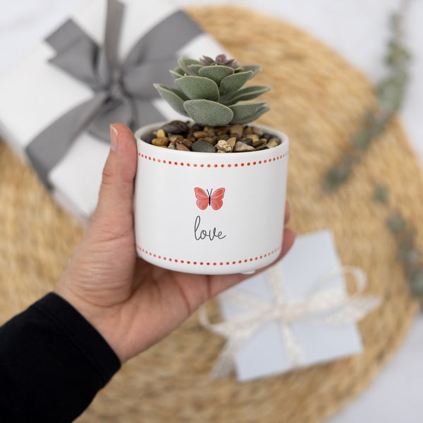 Pavilion Gift Company Love 4.5" Artificial Potted Plant