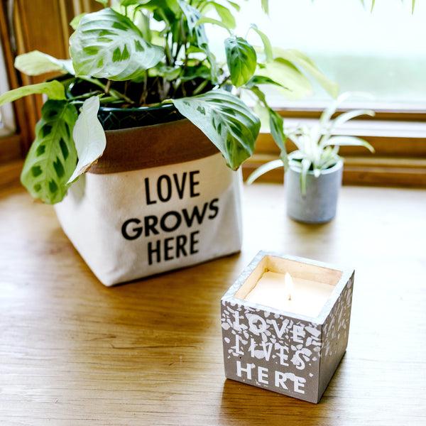 Pavilion Gift Company Love 8 Oz - 100% Soy Wax Candle Scent: Serenity