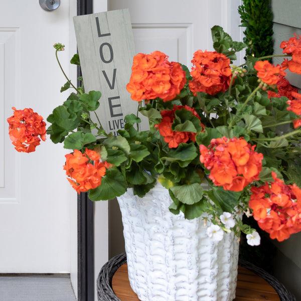 Pavilion Gift Company Love Lives Here 5" X 12" Plaque