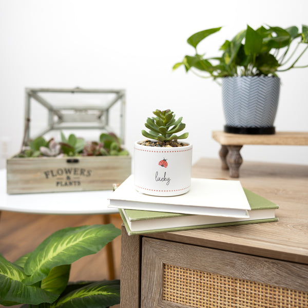 Pavilion Gift Company Lucky 5" Artificial Potted Plant