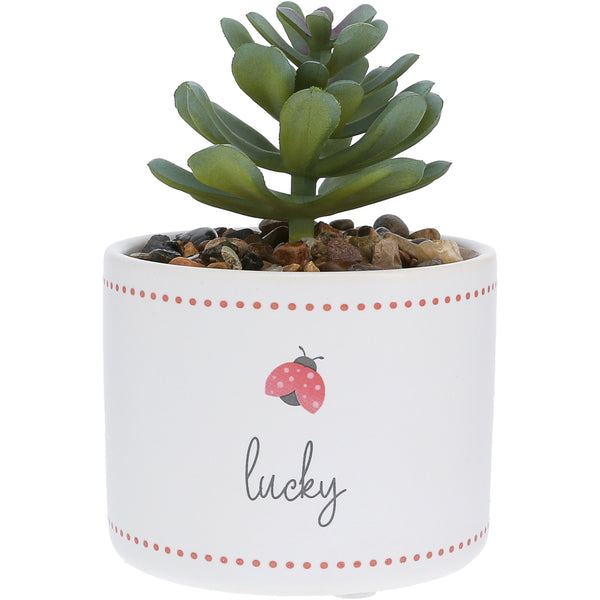 pavilion gift company Lucky 5" Artificial Potted Plant