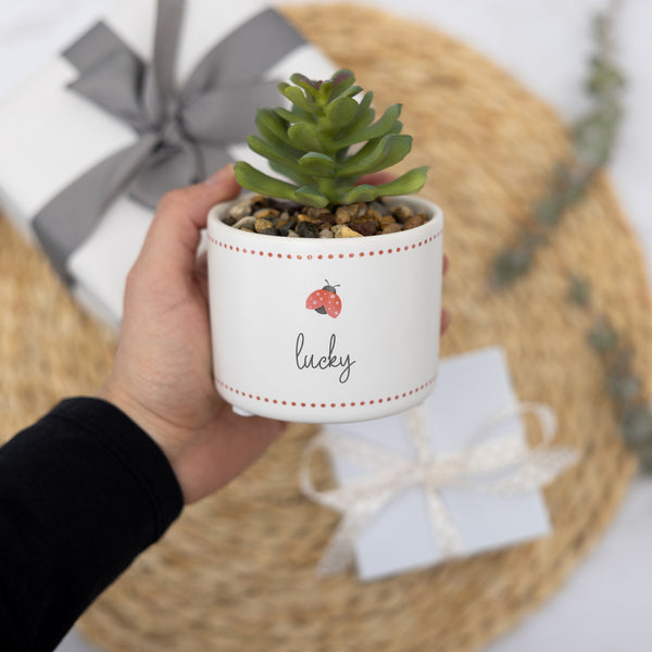 Pavilion Gift Company Lucky 5" Artificial Potted Plant