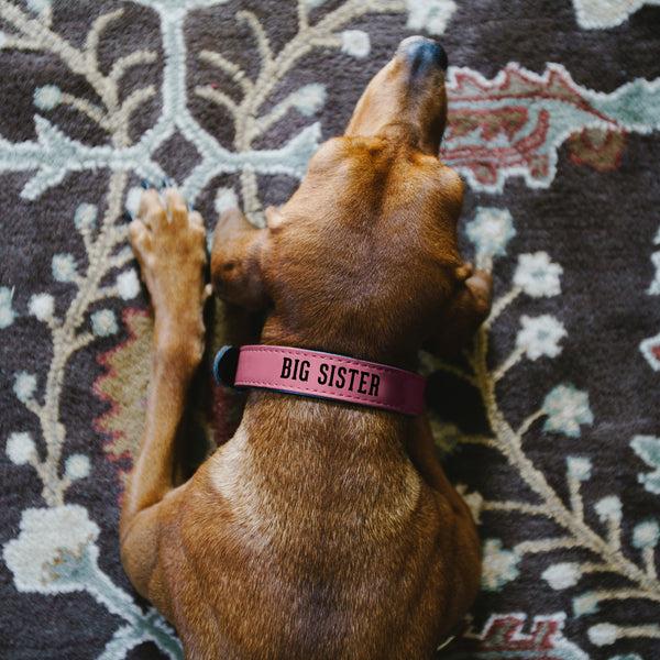Pavilion Gift Company M/L Big Sister 21" PU Leather Pet Collar