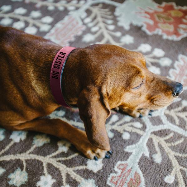 Pavilion Gift Company M/L Big Sister 21" PU Leather Pet Collar
