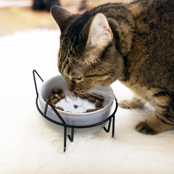 Pavilion Gift Company Meow 13 Oz Ceramic Pet Bowl With Metal Stand