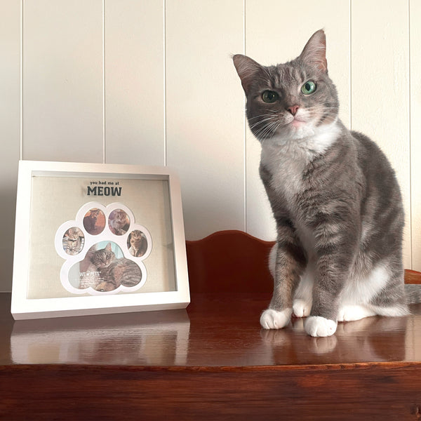 Pavilion Gift Company Meow 9" Paw Print Shadowbox Frame